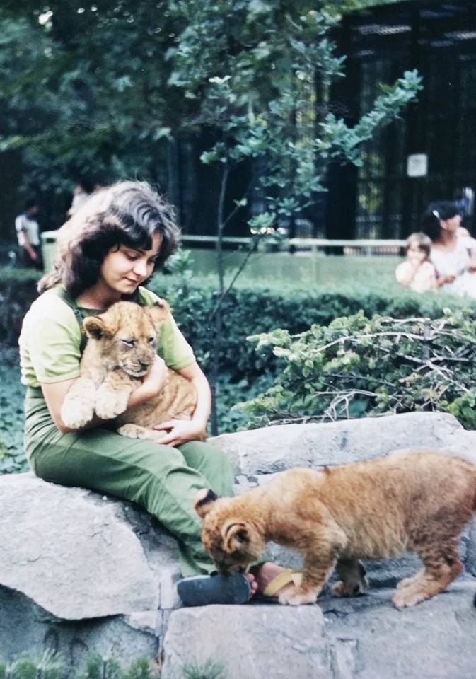 Hilda Tresz and lions at the Budapest Zoo Hilda Tresz and lions at the Budapest Zoo
